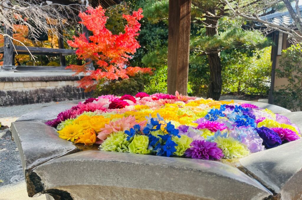 光明寺花手水