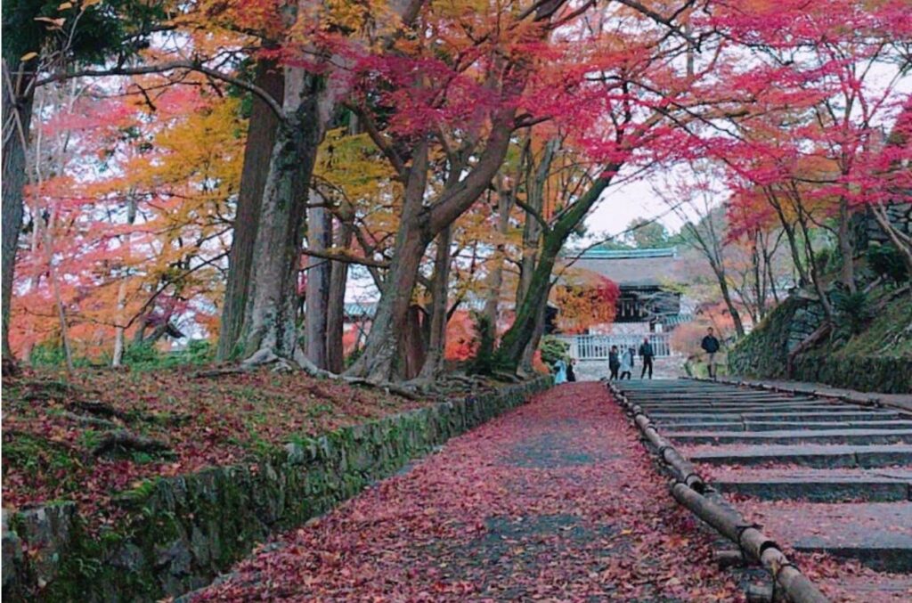 毘沙門堂紅葉
