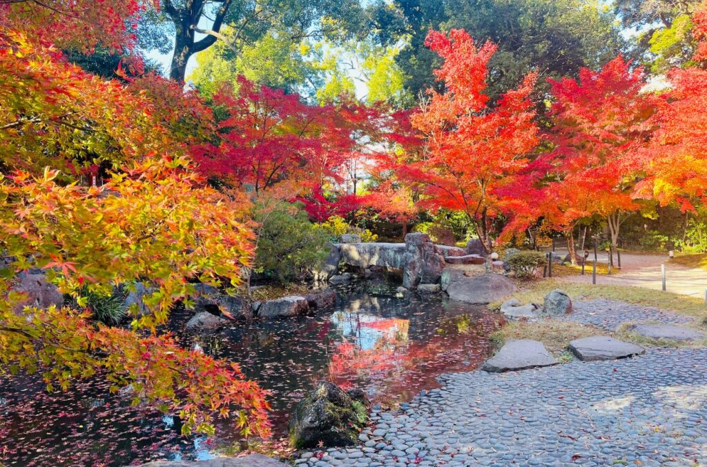 長岡天滿宮八條池