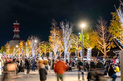 和歌山 KEYAKI LIGHT PARADE