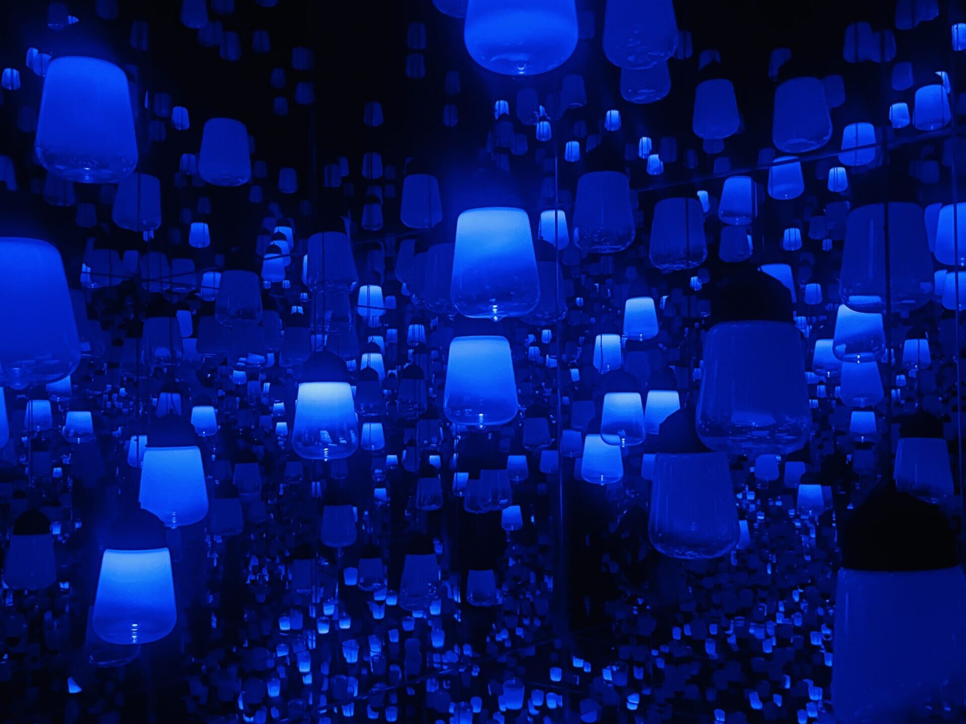 《呼應燈籠之森》（Forest of Resonating Lamps: One Stroke - a Year in the Mountains）